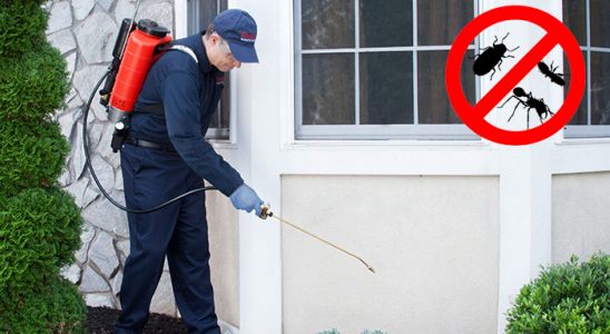 Bala Bit İlaçlama böcek ilaçlama ve haşere kontrolü — ilaclama-tr.com